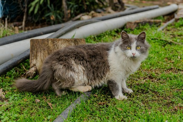 Trouver le Prénom Idéal pour Votre Bébé : Guide Complet et Astuces Incontournables