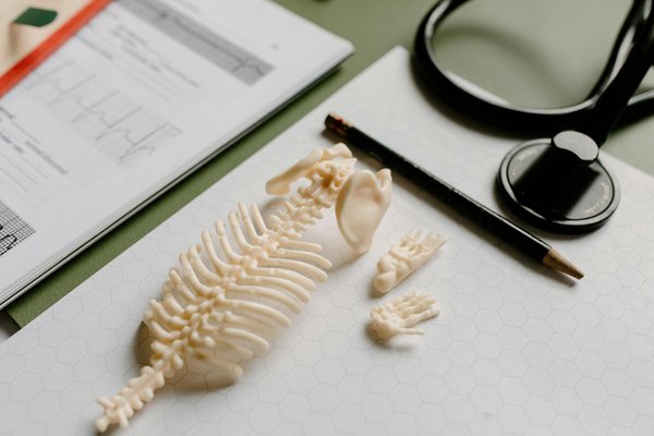 Transformation Minceur et Récupération Optimale : Atteignez vos Objectifs