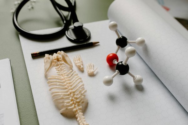 Tout sur la vaccination des animaux de compagnie : Guide essentiel à découvrir